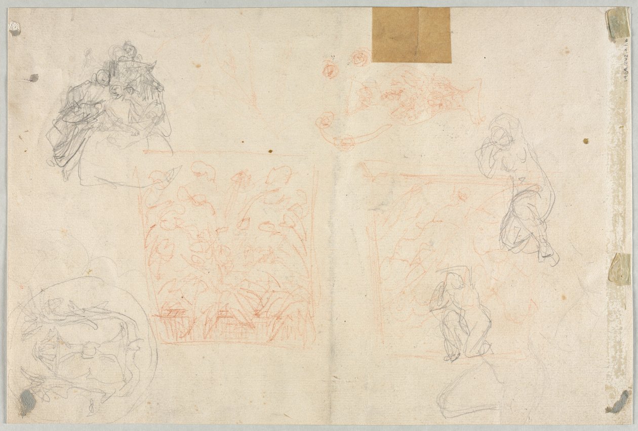 Erilaisia luonnoksia hahmoista ja kasveista, 1800-luku. tekijältä Unbekannt