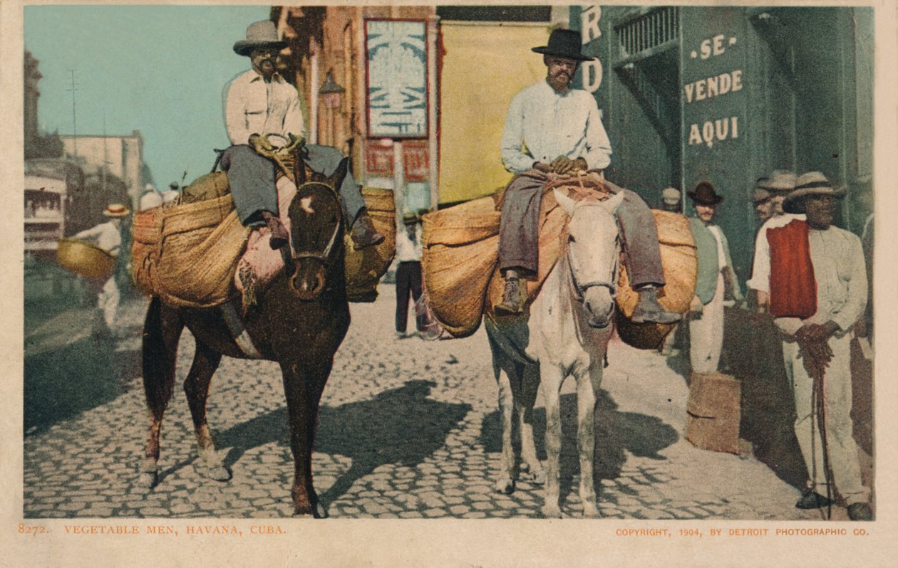 Kasvismiehet, Havanna, Kuuba, 1904 tekijältä Unbekannt