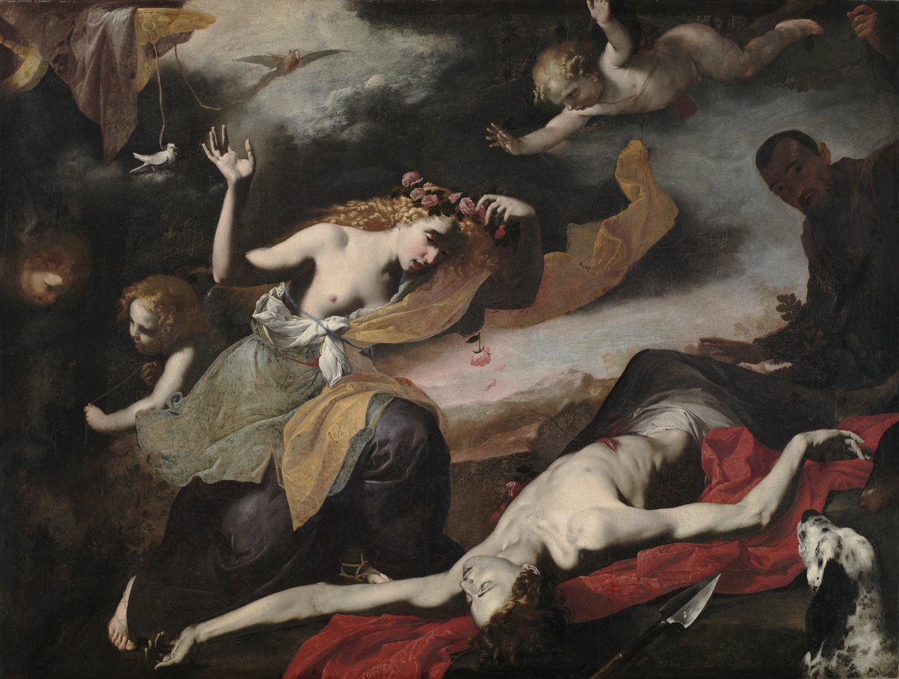 Venus etsii kuolleita Adonis, n. 1650. tekijältä Unbekannt