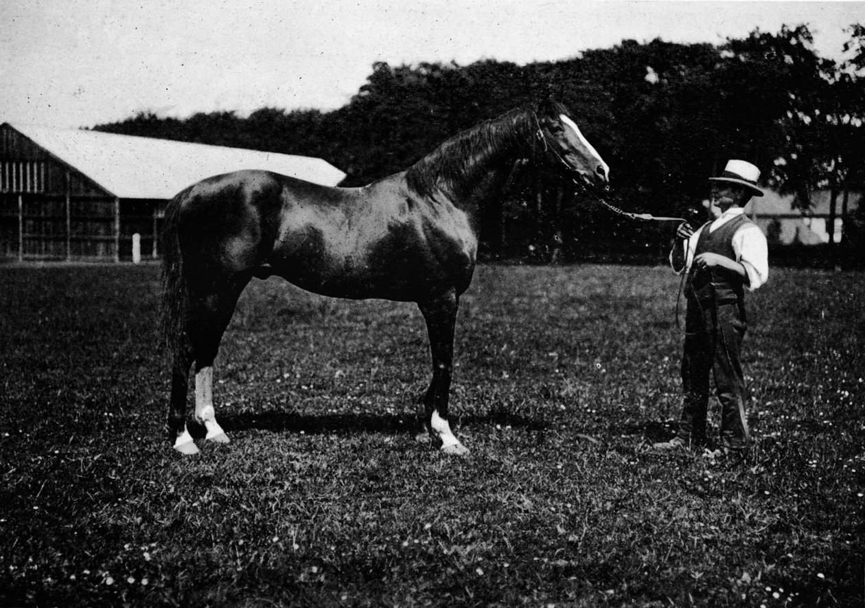 Victor Wild, 1911 tekijältä Unbekannt