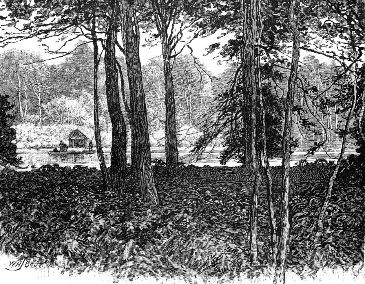 Näkymä Claremont Parkissa, Surreyssa, 1900 tekijältä Unbekannt