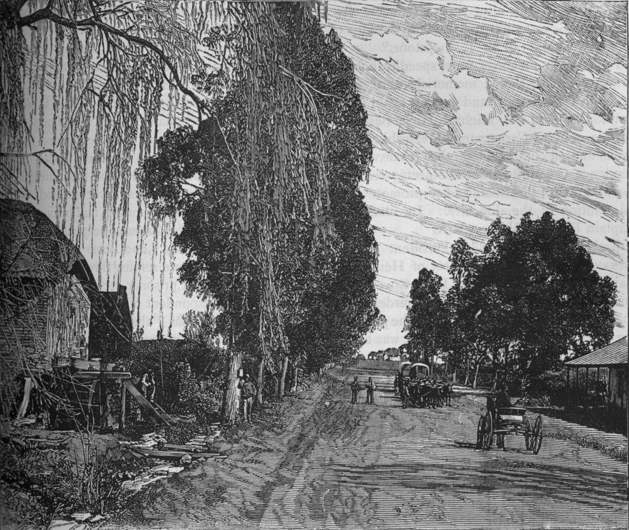 Näkymä lähellä Pretoriaa, c1880 tekijältä Unbekannt
