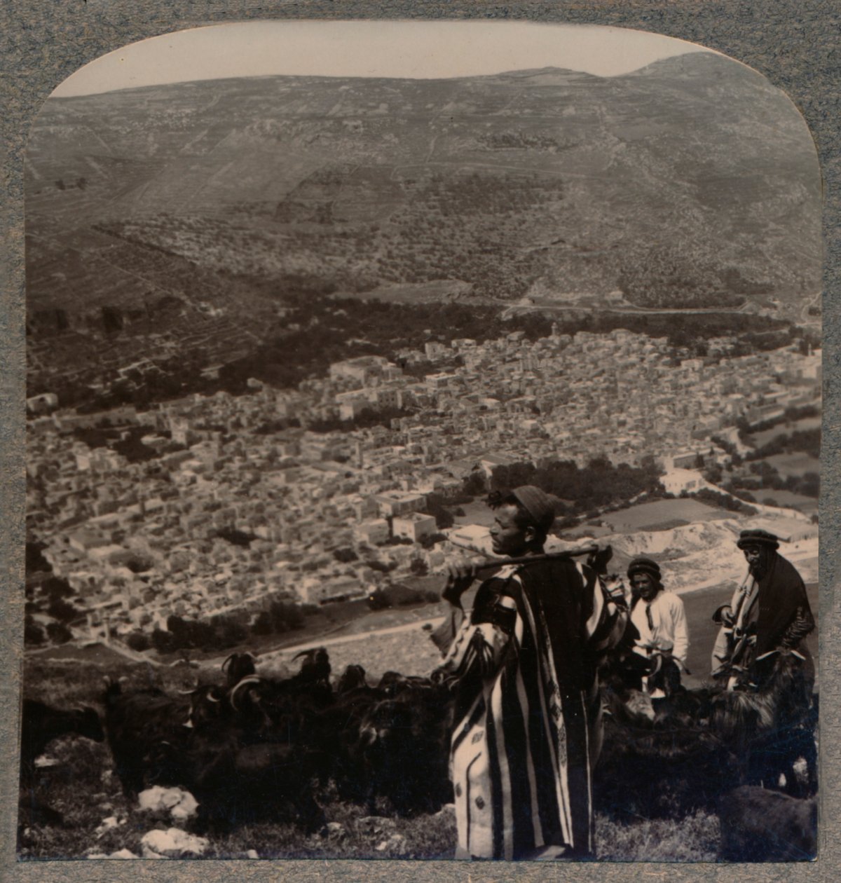 Näkymä Nablusista, c1900 tekijältä Unbekannt