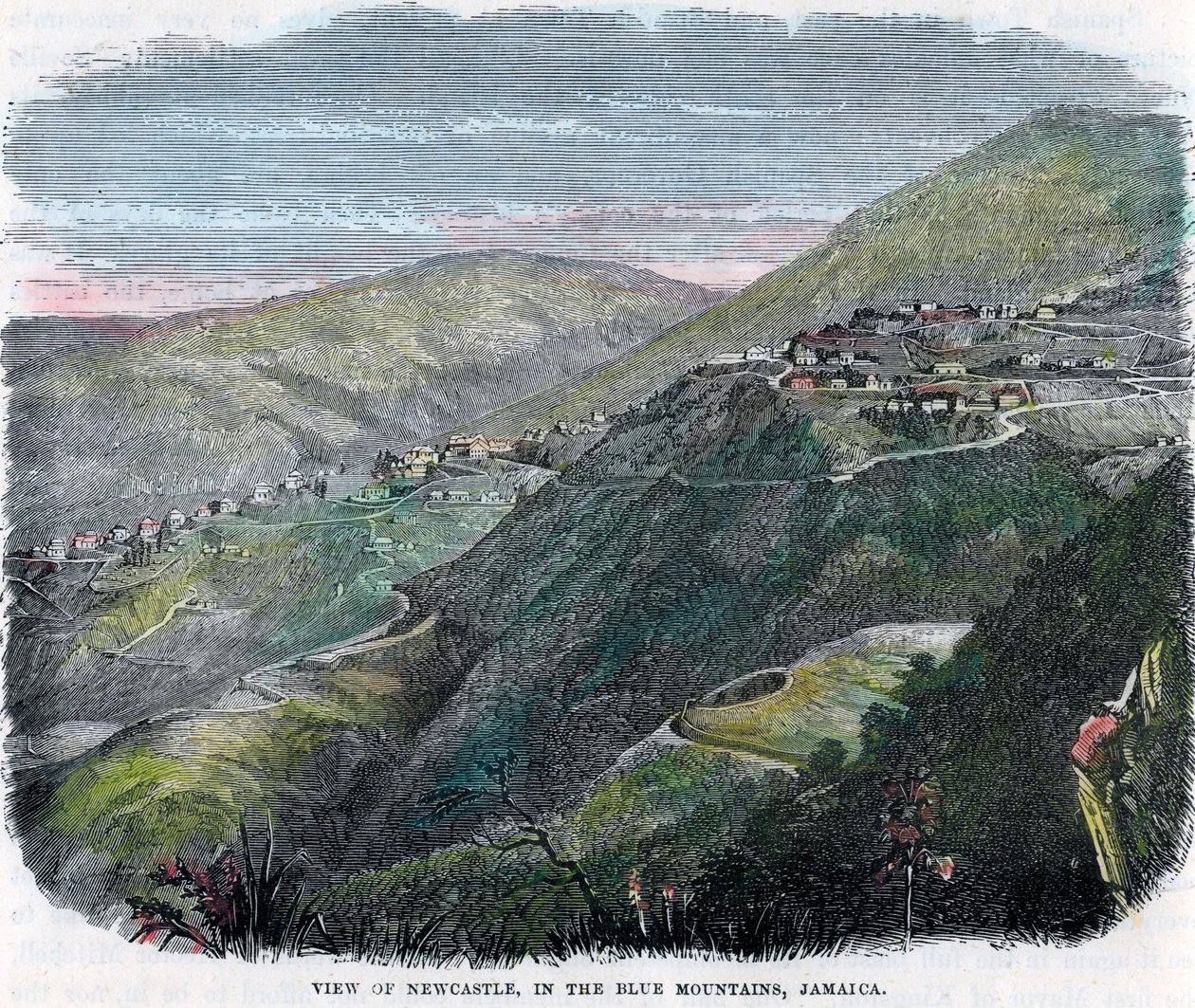 Näkymä Newcastlesta, Blue Mountainsissa, Jamaikalla, vuodelta 1880 tekijältä Unbekannt