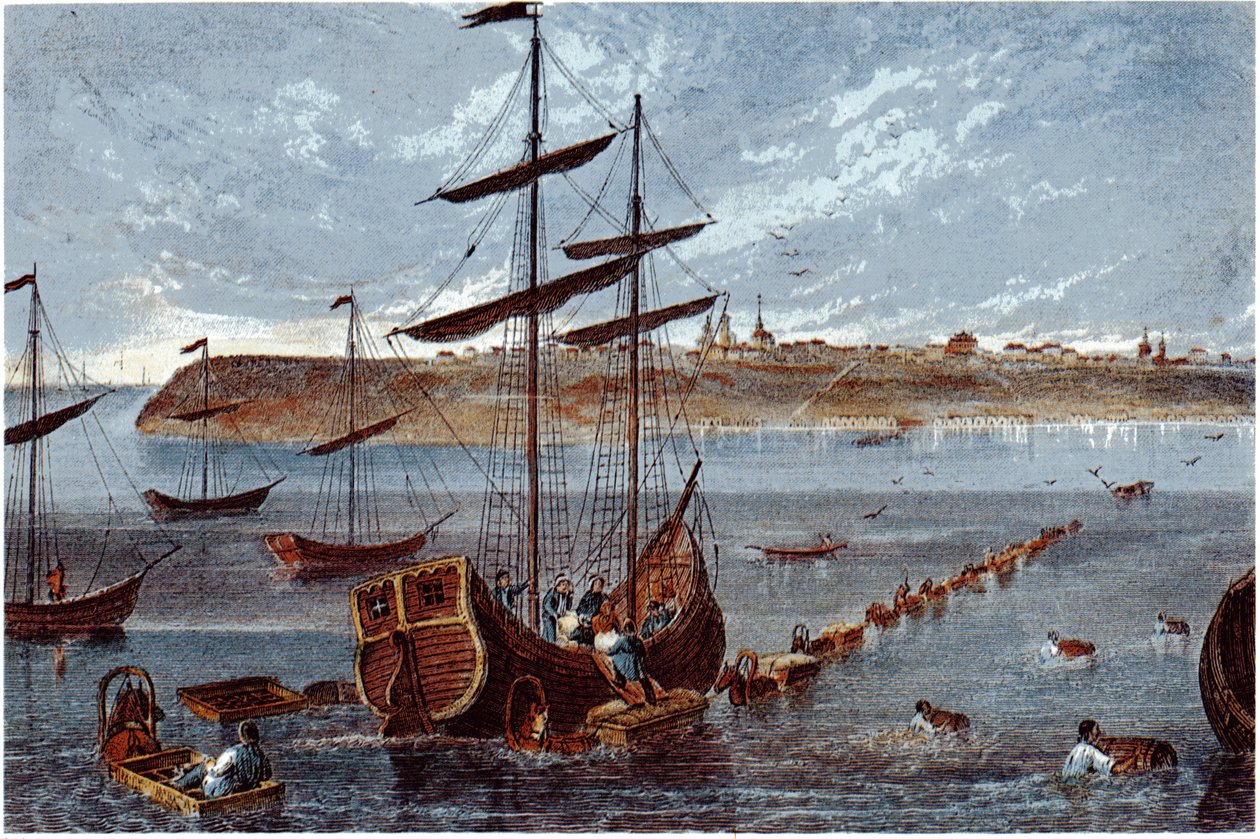 Näkymä Taganrogille, c. 1840 tekijältä Unbekannt