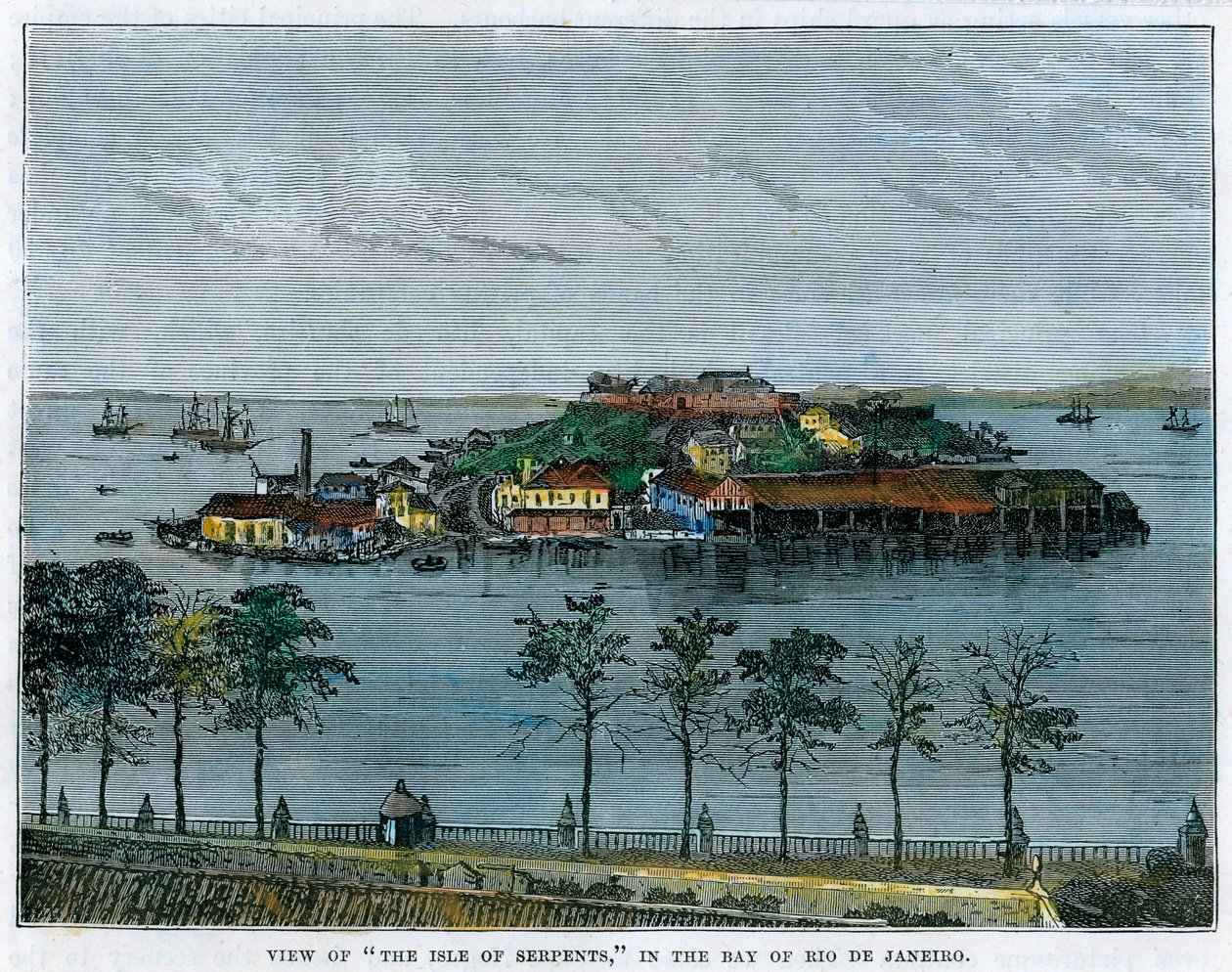 Näkymä Käärmesaarelle, Rio de Janeiron lahdella, Brasiliassa, c1880 tekijältä Unbekannt