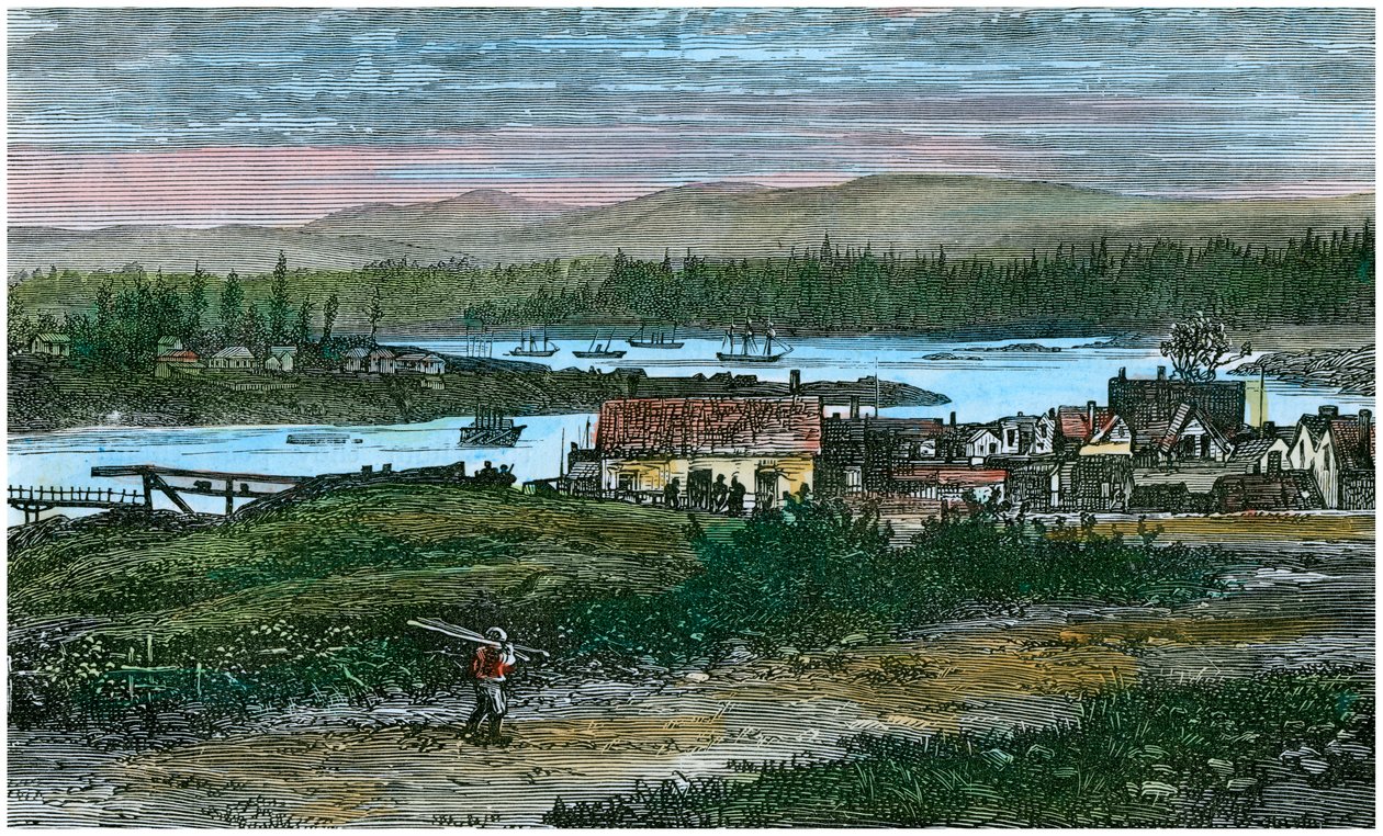 Näkymä Victorian läntisille esikaupunkialueille, Vancouver Island, Brittiläinen Kolumbia, Kanada, c1880 tekijältä Unbekannt