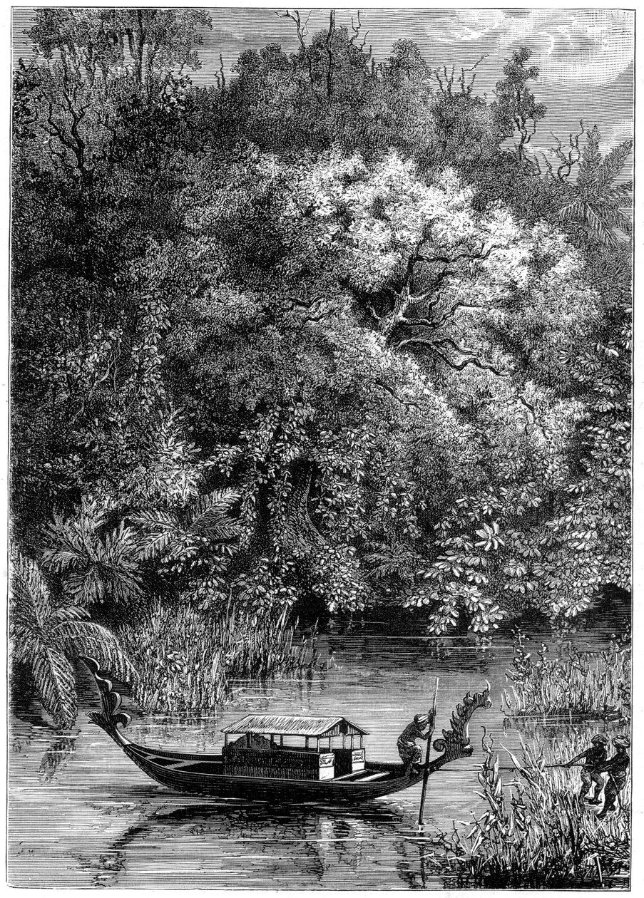 Näkymä Dodinga-joelle, Uusi-Guinea, 1877 tekijältä Unbekannt