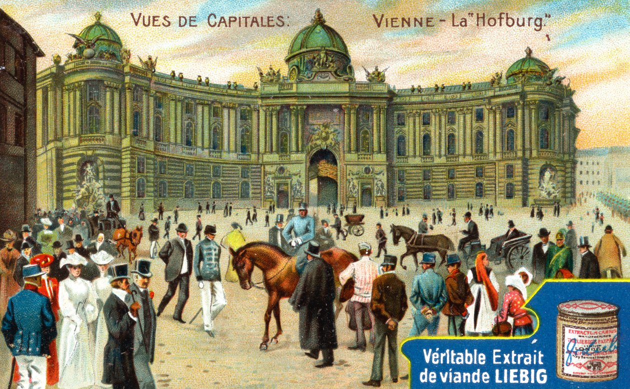 Näkymät pääkaupungeista: Hofburg, Wien, c1900 tekijältä Unbekannt