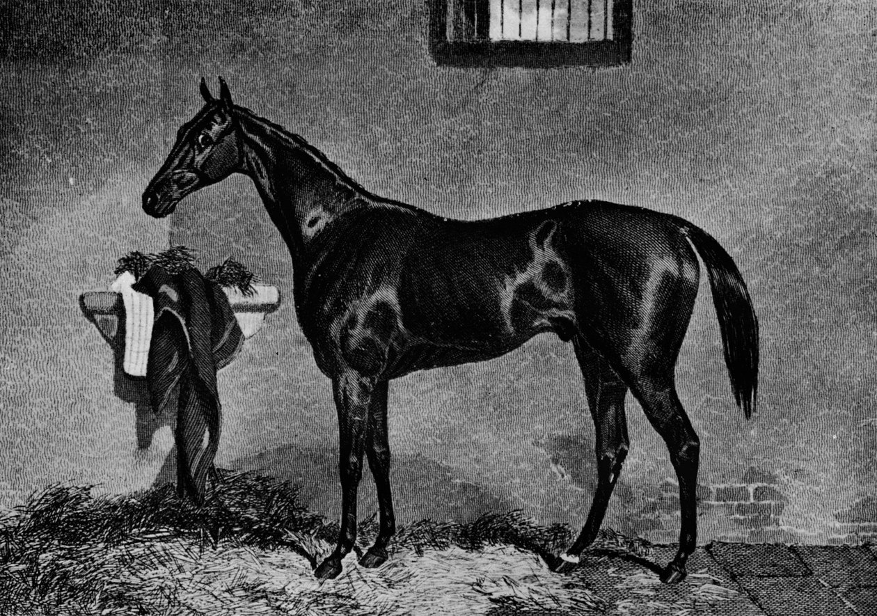 Voltigeur, 1847-1874, 1911 tekijältä Unbekannt