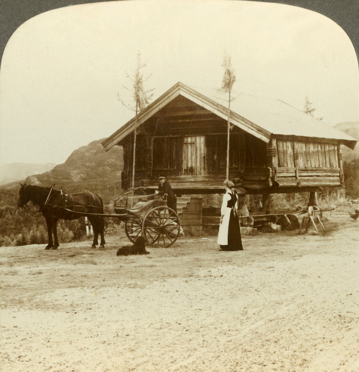 Odottaa matkustajia tiellä lähellä Bolkesjoa, Norja, c1905. tekijältä Unbekannt