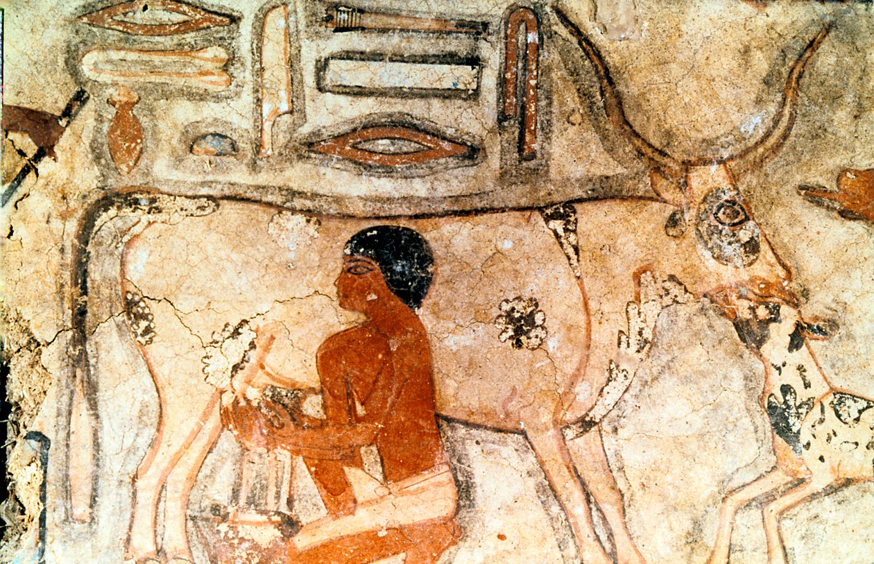 Seinämaalaus Methethin haudasta, Saqqara, Muinainen Egypti, Vanha kuningaskunta, c2371-2350 eaa. tekijältä Unbekannt