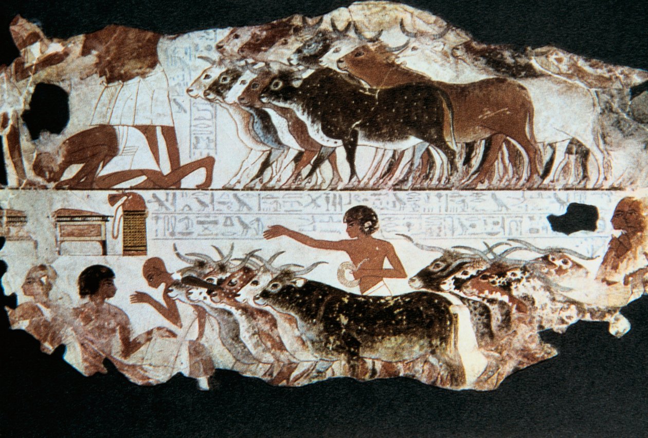 Seinämaalaus Nebarununin haudasta, Thebes, Egypti, n. 1350 eaa tekijältä Unbekannt