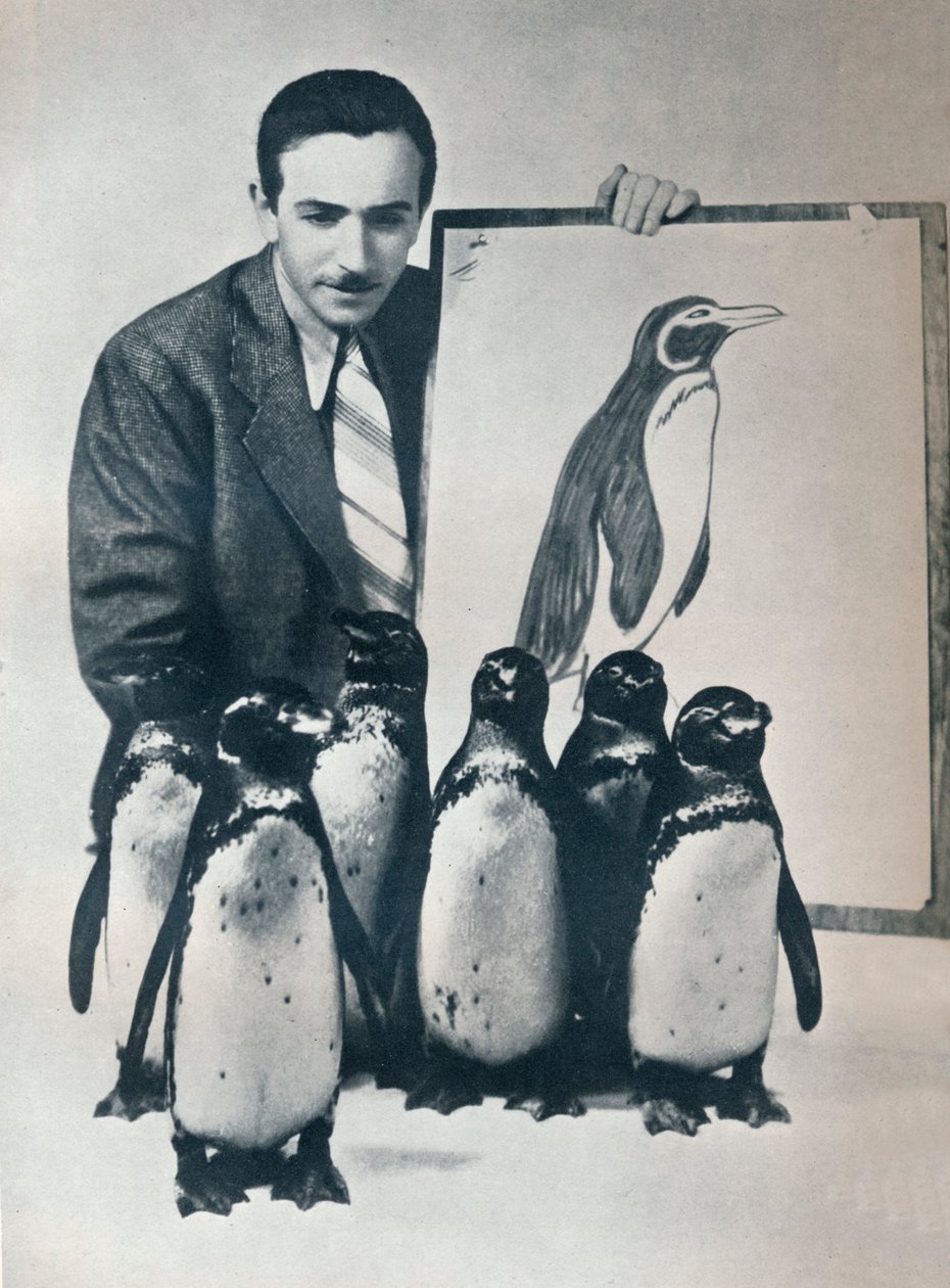 Walt Disney pingviinien kanssa, 1934 1935 tekijältä Unbekannt