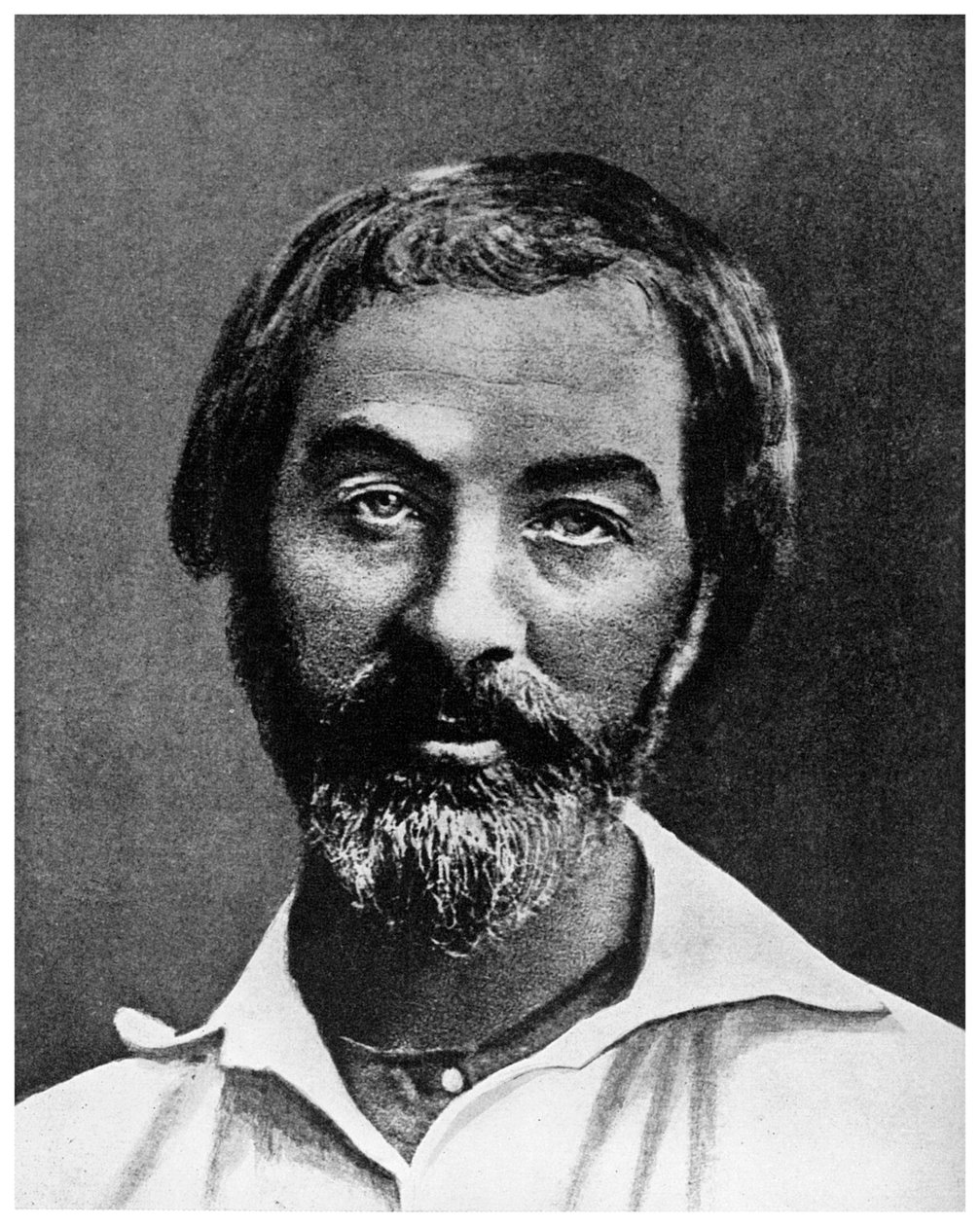 Walt Whitman, yhdysvaltalainen runoilija, 1800-luku 1956 tekijältä Unbekannt