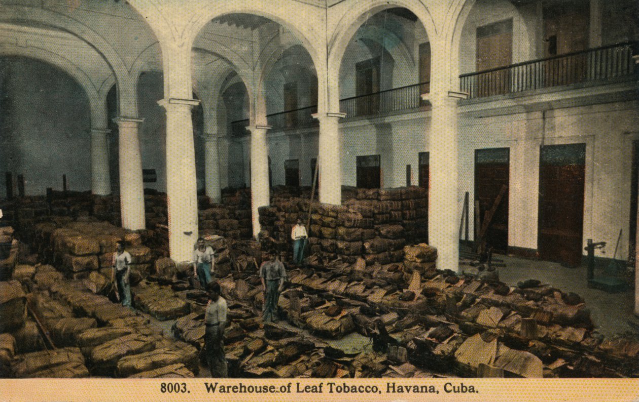 Leaf Tobaccon varasto, Havanna, Kuuba, 1910 tekijältä Unbekannt