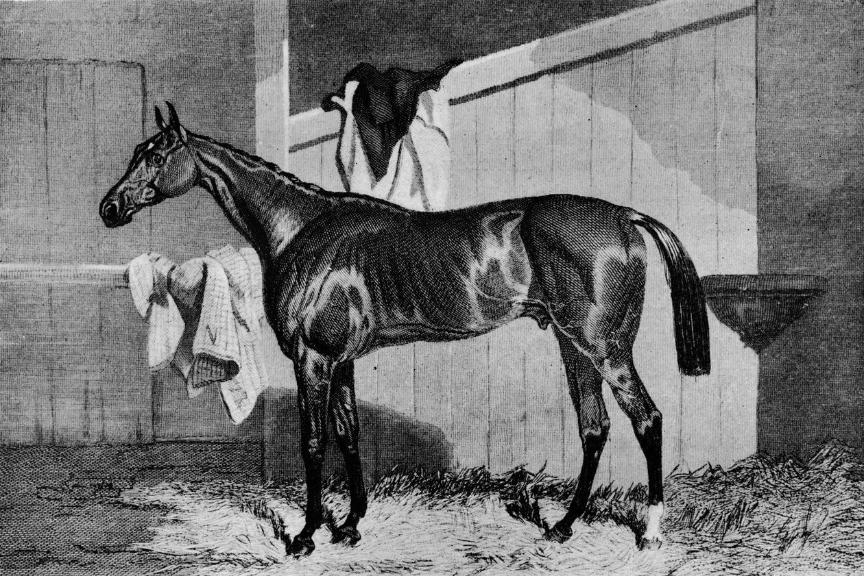 Warlock, 1800-luku, 1911 tekijältä Unbekannt