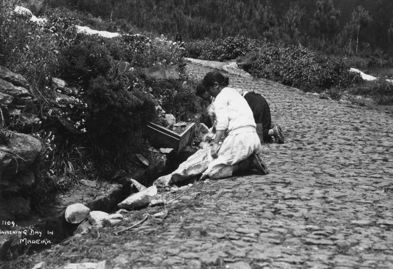 Pesupäivä Madeiralla, Portugalissa, 1920-c1930-luku tekijältä Unbekannt