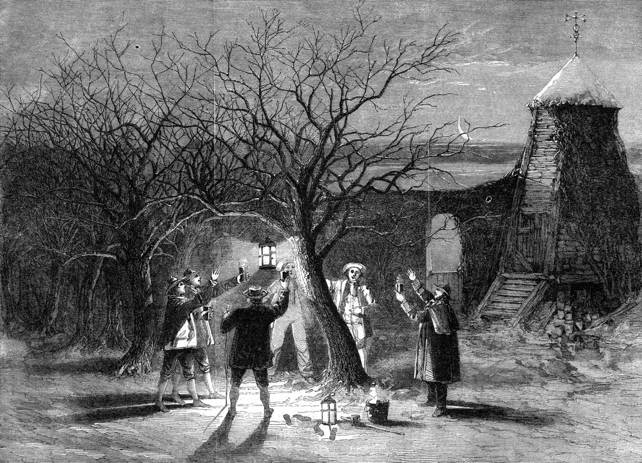 Hyökkäämässä omenapuita kuuman siiderin kera Devonshiressa kahdentenatoista aattona, 1861 tekijältä Unbekannt