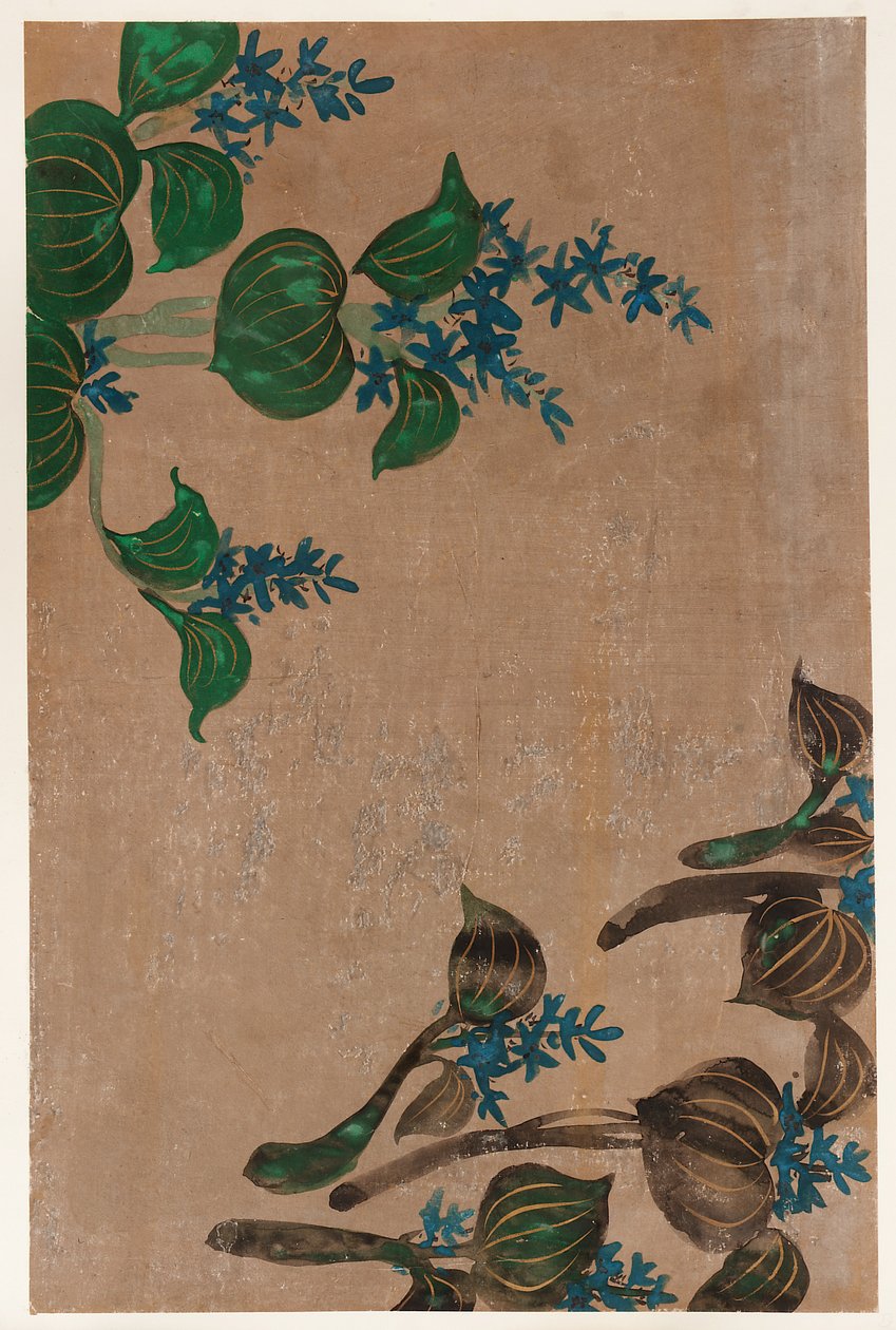 Vesikasveja sinisillä kukilla, Edo-kausi, 1615-1868. tekijältä Unbekannt