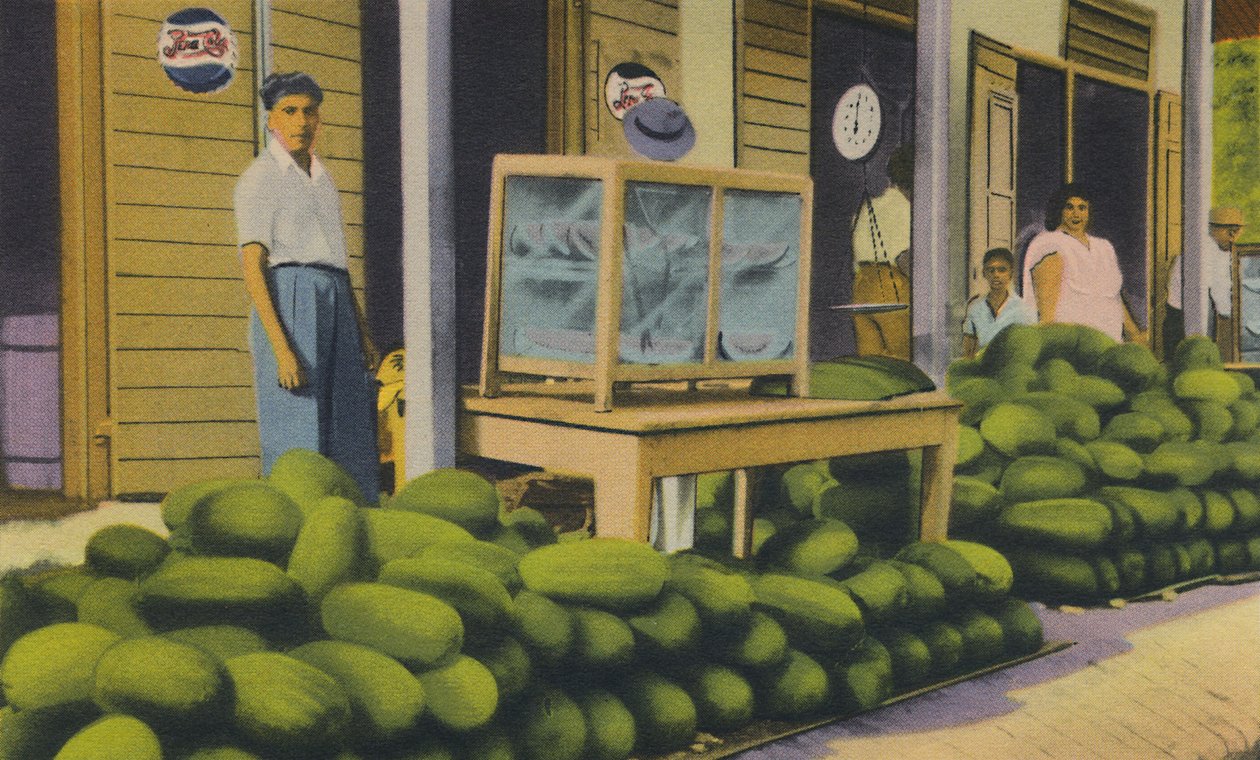 Vesimelonit myytävänä, Trinidad, B.W.I., 1940-luku. tekijältä Unbekannt