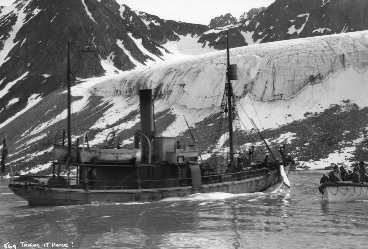 Valaanpyynti, Magdalene Bay, Huippuvuoret, Norja, 1929 tekijältä Unbekannt