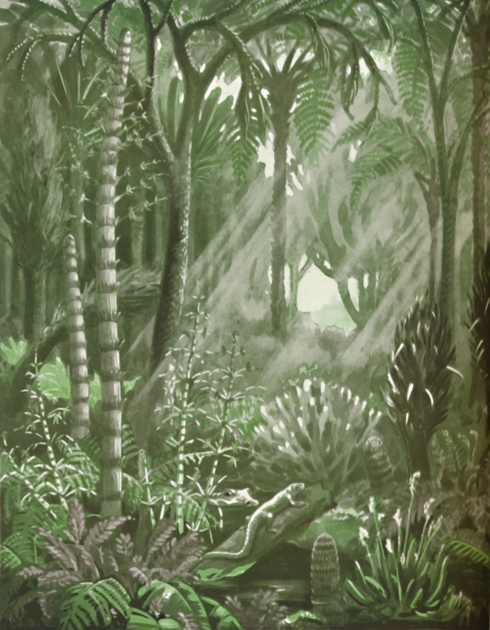 Millaisia mahtavat hiilimetsät olivat, 1935 tekijältä Unbekannt