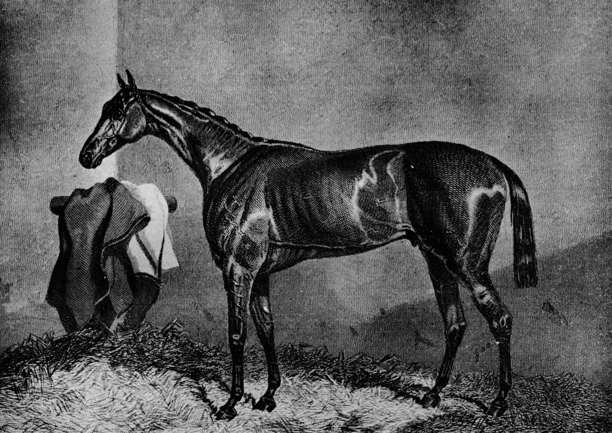 Villi Dayrell, 1852-1870, 1911 tekijältä Unbekannt