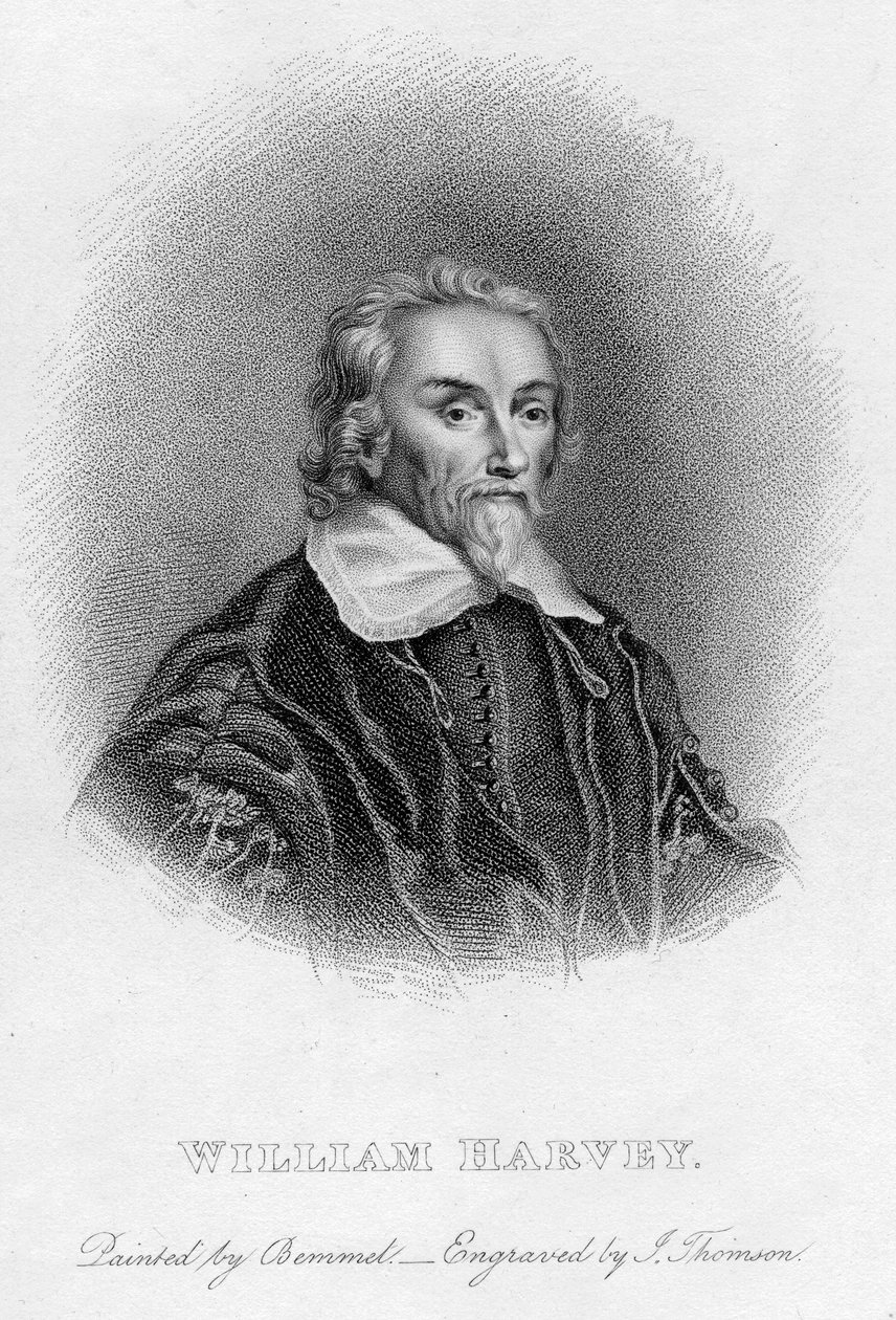 William Harvey 1578-1657 englantilainen lääkäri, 1600-luku tekijältä Unbekannt