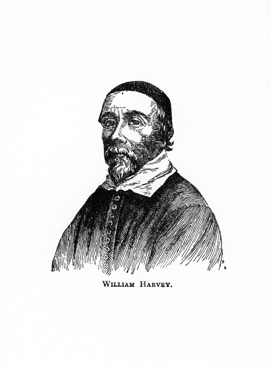 William Harvey, 1600-luvun englantilainen lääkäri, 1900-luku tekijältä Unbekannt
