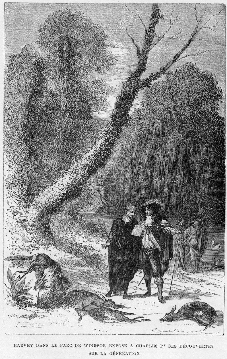 William Harvey, englantilainen lääkäri, Windsor Parkissa 1600-luvulla 1870 tekijältä Unbekannt