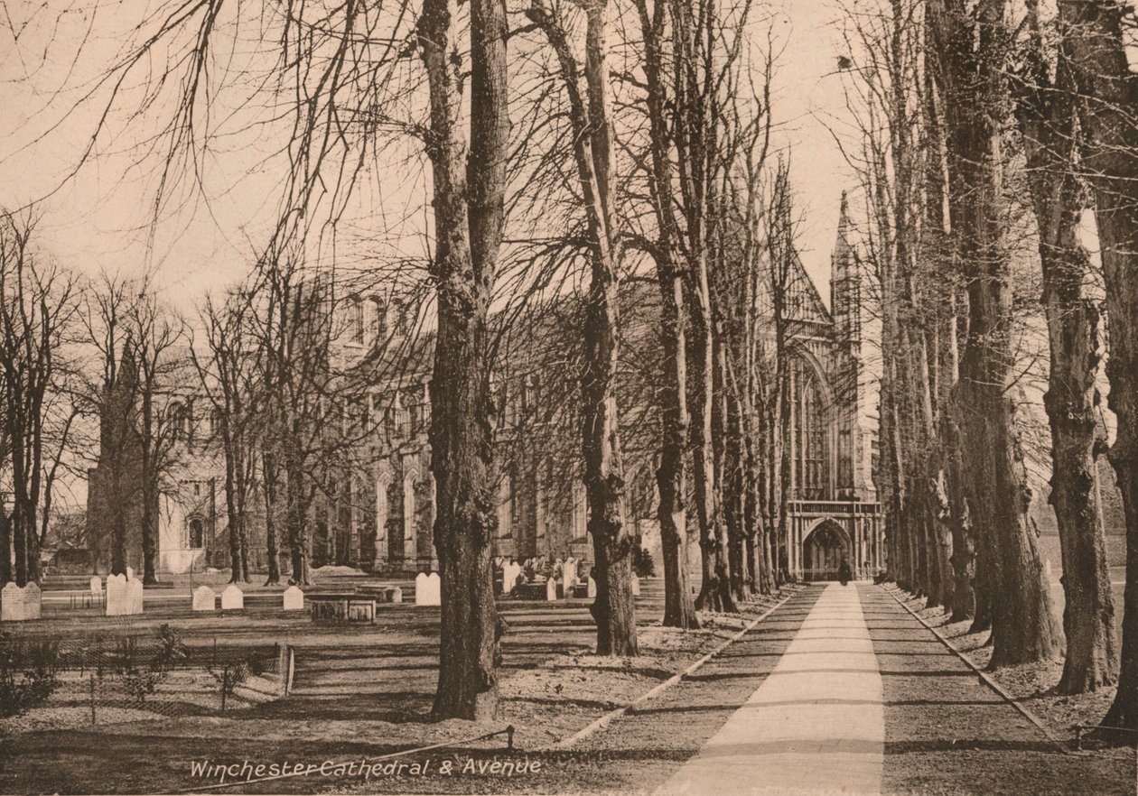 Winchesterin katedraali ja Avenue, Hampshire, 1900-luvun alku. tekijältä Unbekannt