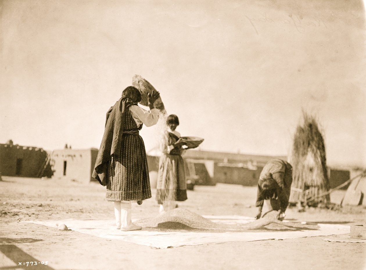 Viljelyvehnä - San Juan 1905 (kuva) tekijältä Unbekannt