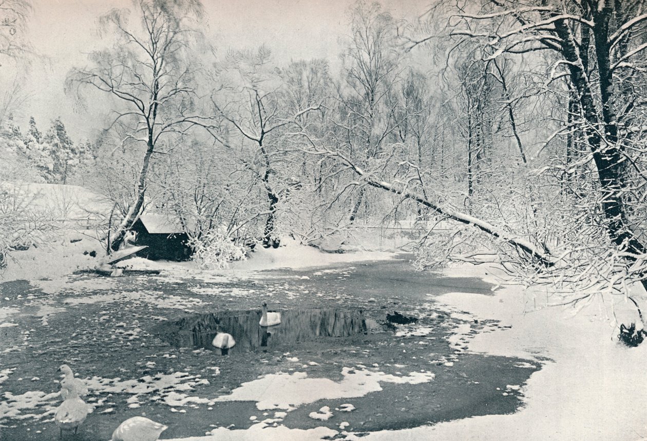 Talvinäkymä Skansenin ulkoilmamuseoon, c1900 tekijältä Unbekannt