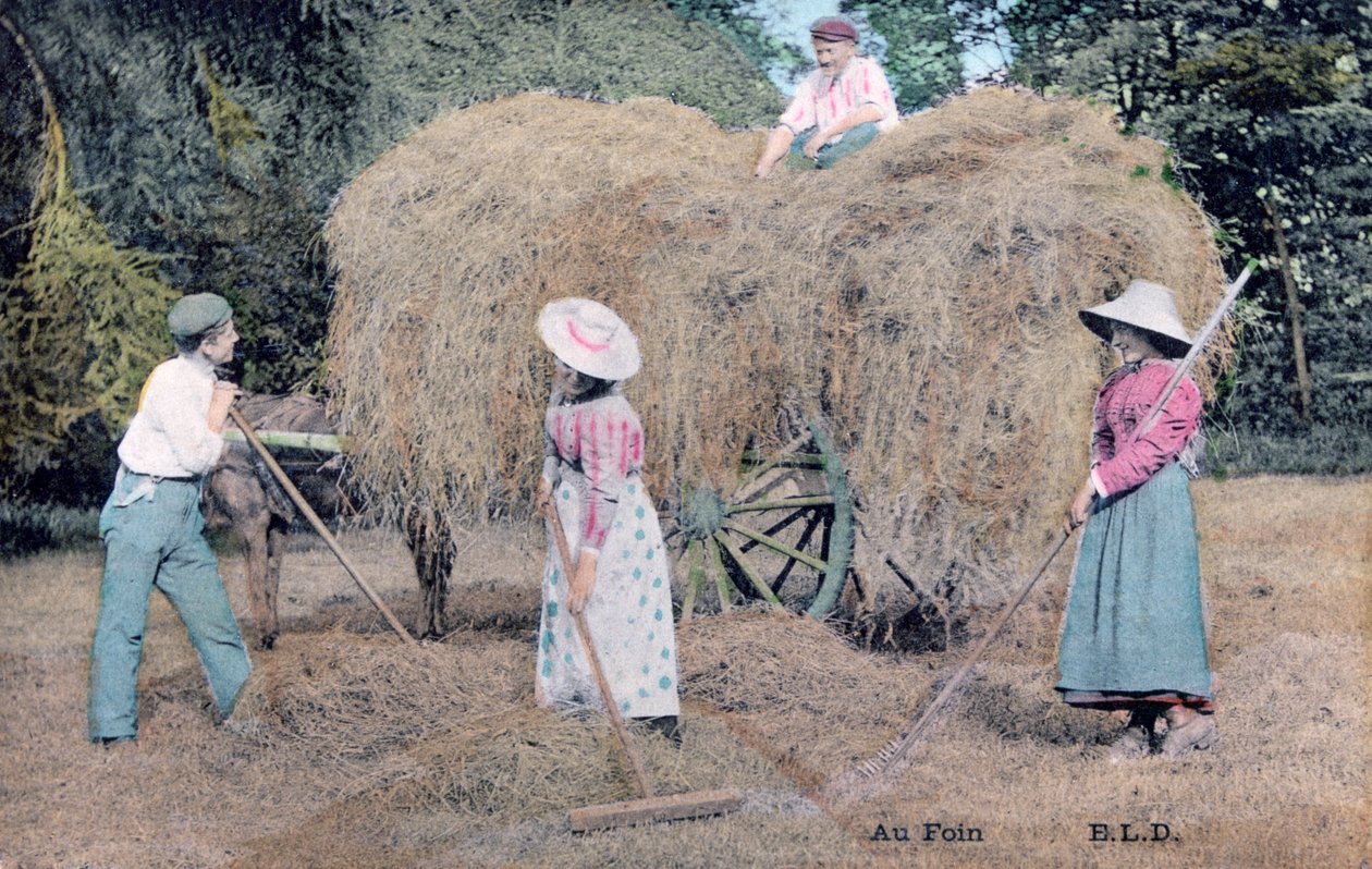 Hayn kanssa, c1900 tekijältä Unbekannt