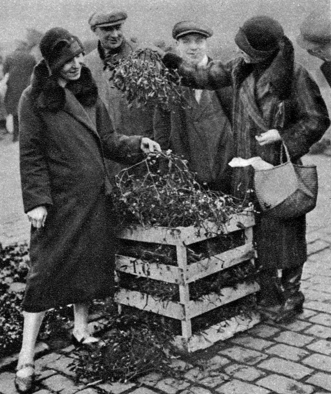 Naiset valitsivat misteliterttuja, Caledonian Market, Lontoo, 1926-1927 tekijältä Unbekannt