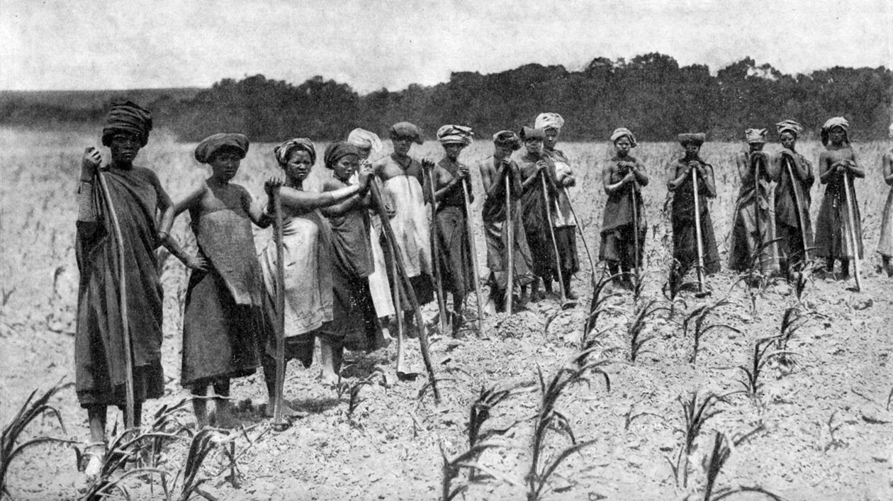 Naiset kaivaamassa maissipeltoa, Etelä-Afrikka, 1923 tekijältä Unbekannt
