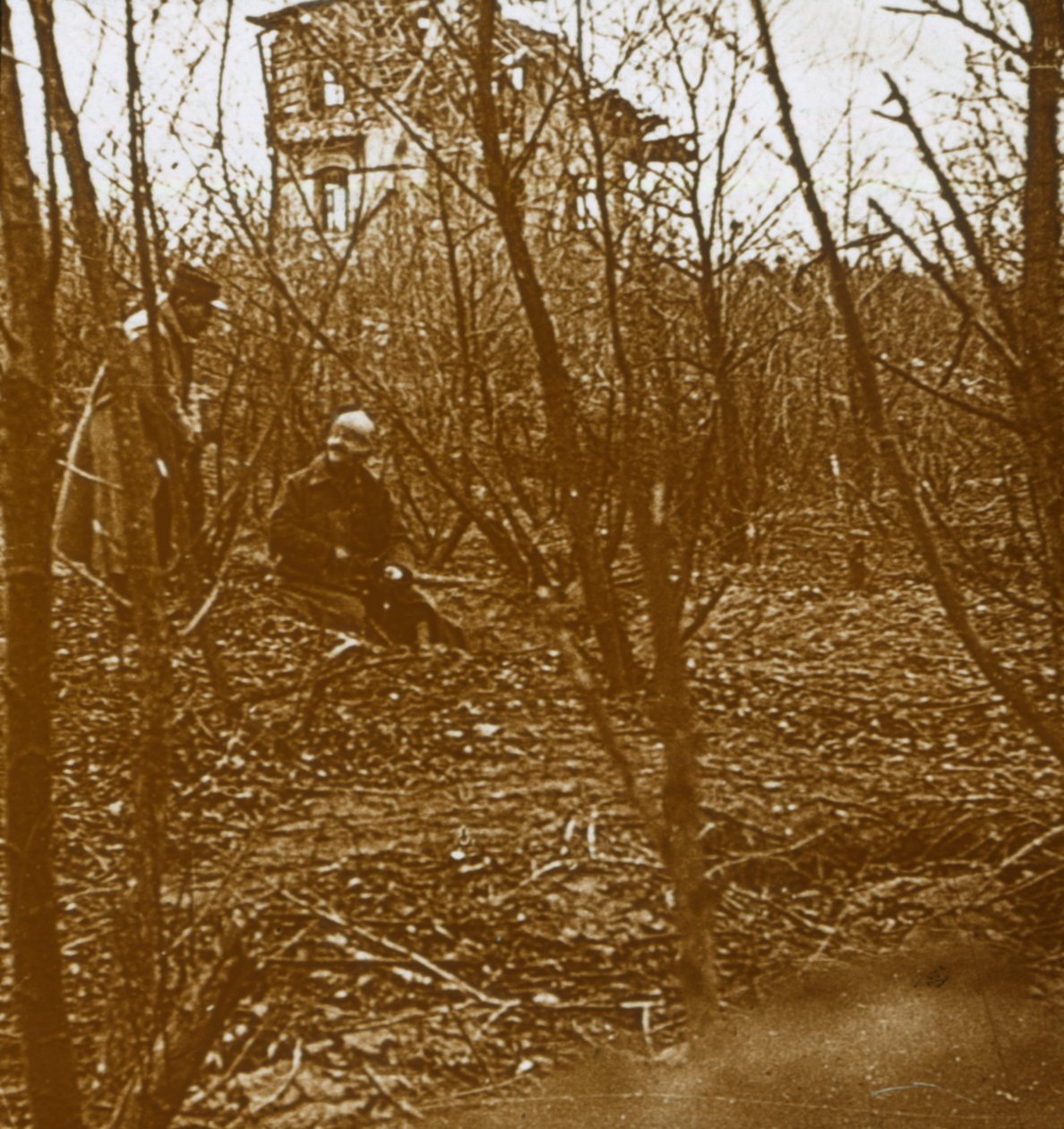 Puu, 1914-1918 tekijältä Unbekannt
