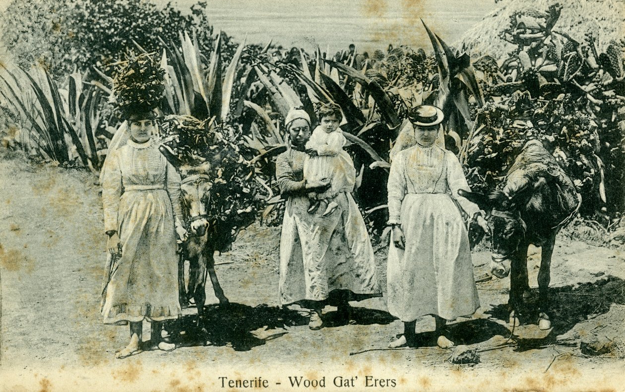 Puunkerääjät, Teneriffa, Kanariansaaret, 1900-luvun alku tekijältä Unbekannt