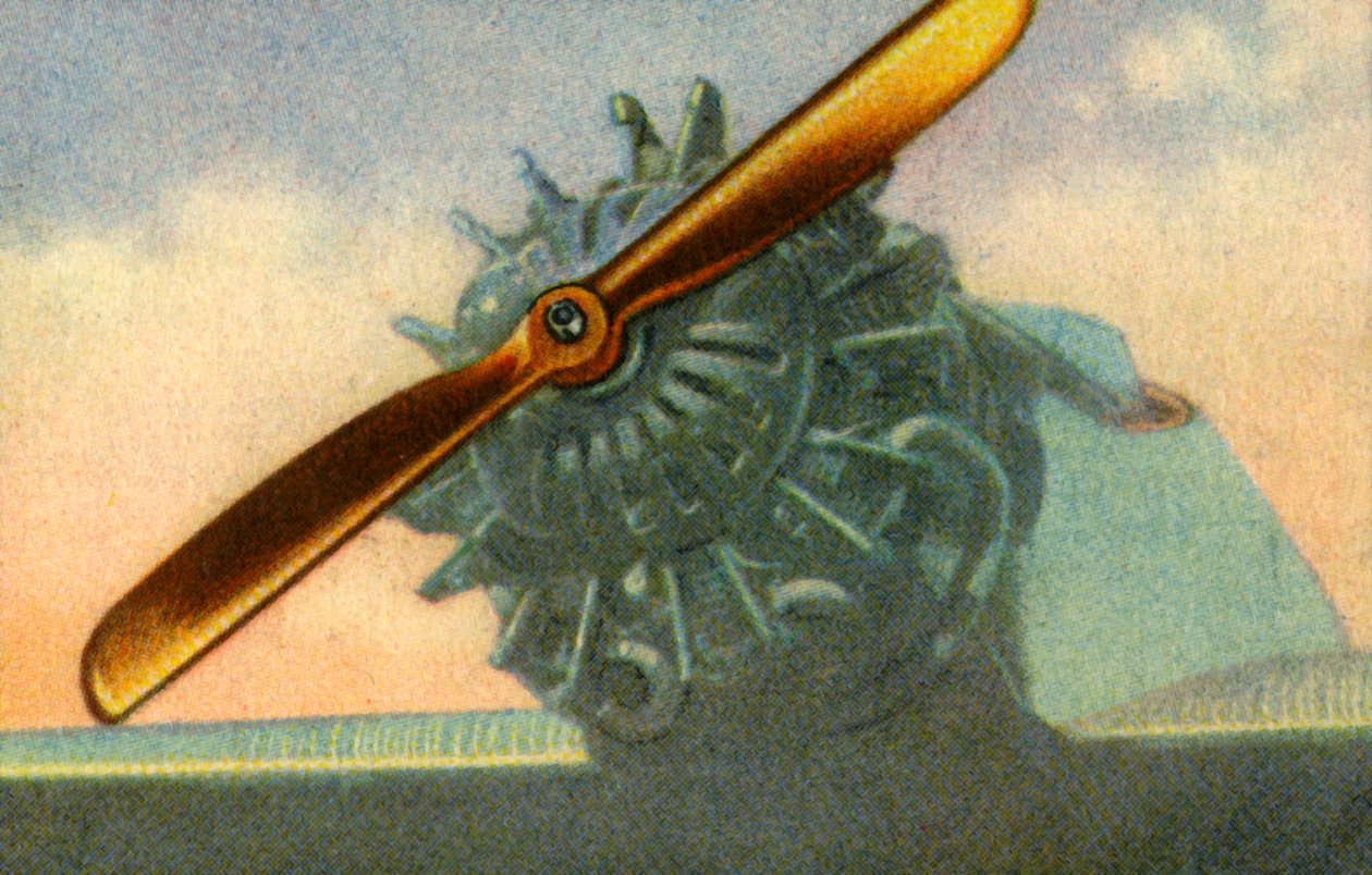 Schwarz Propeller-Werk -yhtiön valmistama puinen lentopotkuri, 1932. tekijältä Unbekannt
