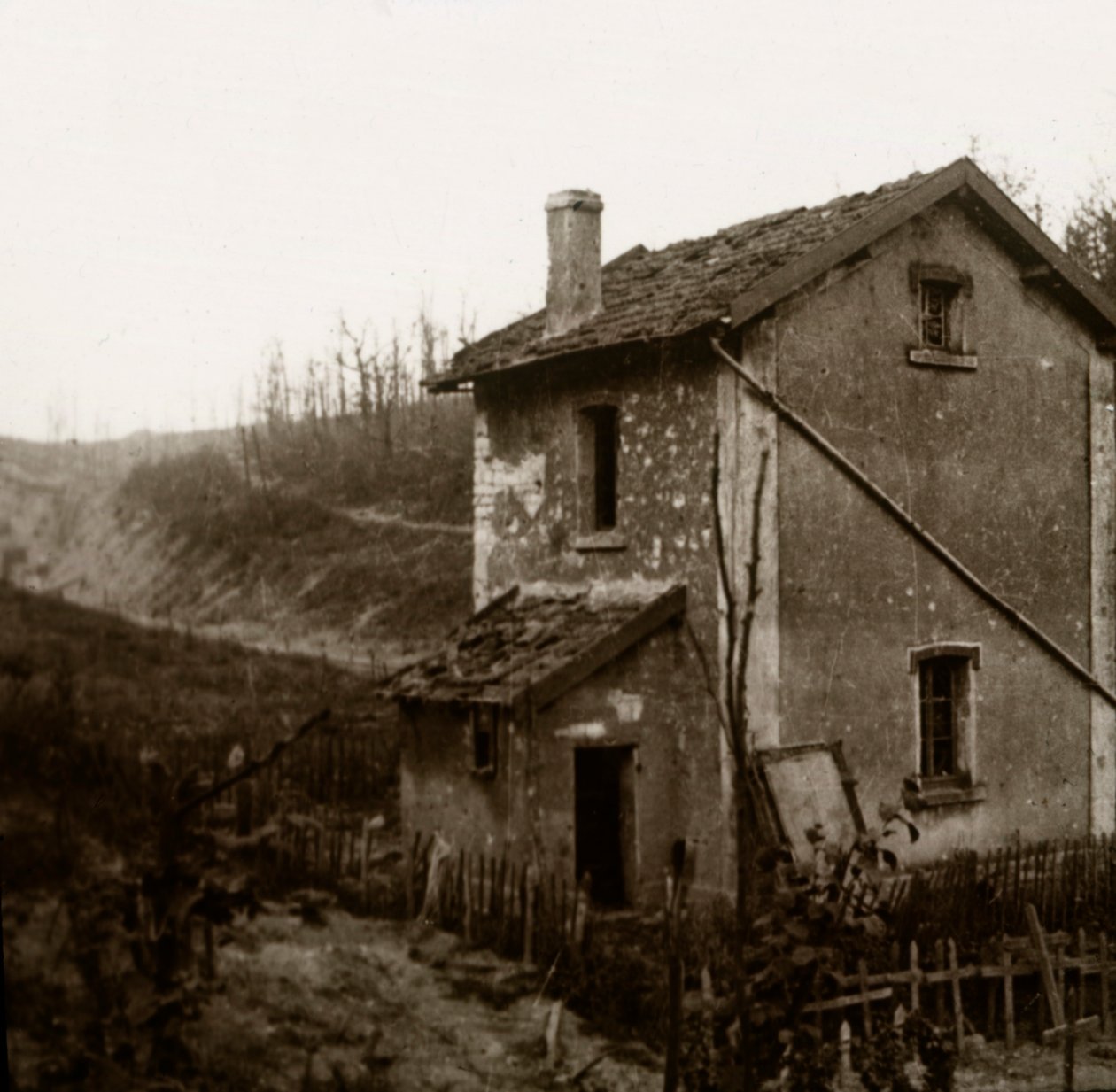 Puiset ristit, Tavannes-tunneli, Verdun, Pohjois-Ranska, c1914-c1918 tekijältä Unbekannt