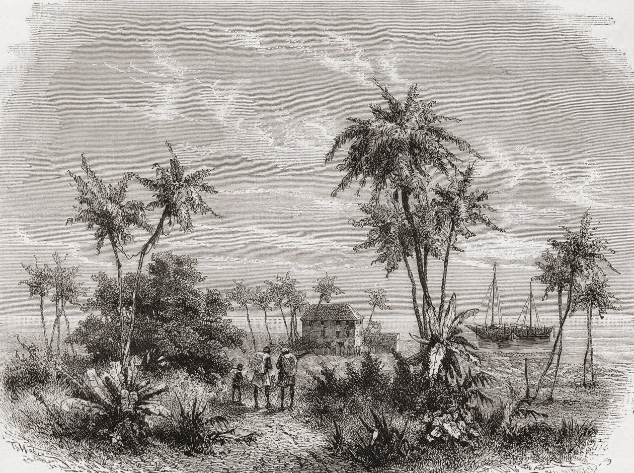 David Livingstonen talo Sansibarissa, Tunisiassa, Itä-Afrikassa, kuvitus teoksesta "The World in the Hands", kaiverrettu Henri Theophile Hildibrand (1824-97), julkaistu 1878 tekijältä Unbekannt Unbekannt