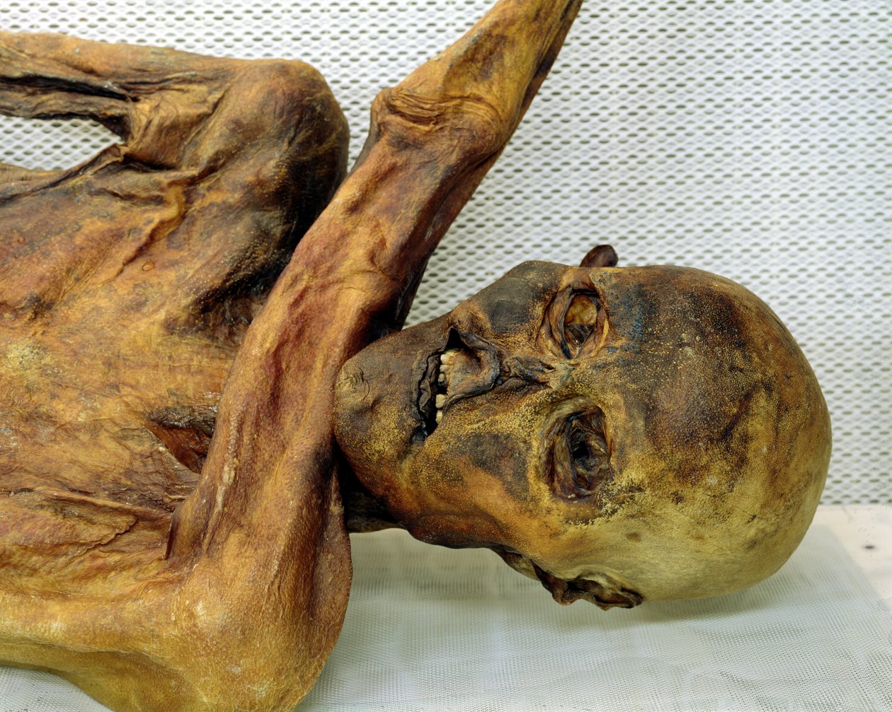 Oetzi Iceman tekijältä Unbekannt Unbekannt