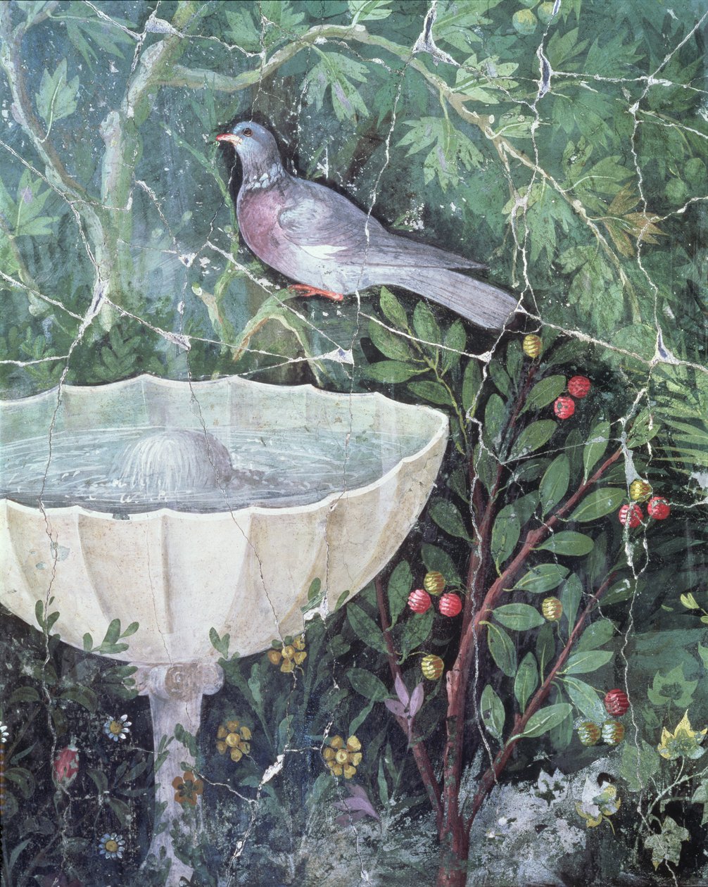 Seinämaalaus kyyhkysestä puutarhassa suihkulähteen luona, House of the Golden Rannekoru, Pompei, 1. vuosisata jKr. tekijältä Unbekannt Unbekannt