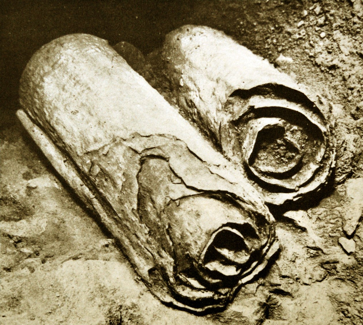 Kuolleenmeren kääröjen kaivaus, 1950 tekijältä Unbekannt Unbekannt