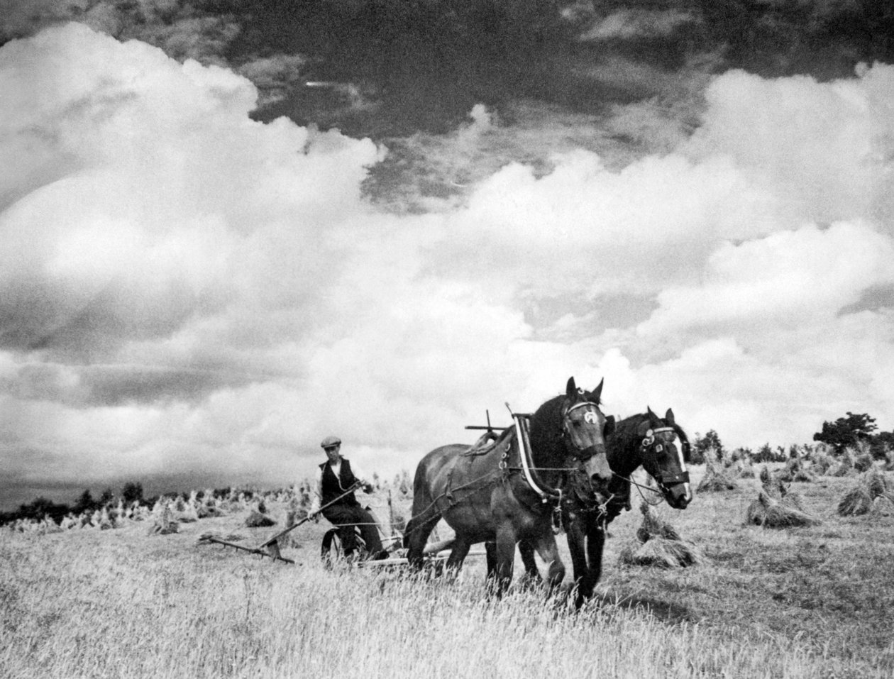 Irlannin ruisruohon korjuu, 1940 tekijältä Unbekannt Unbekannt