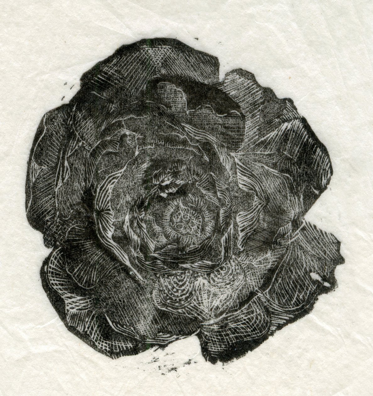 Pine Rose, 2014, tekijältä Unbekannt Unbekannt