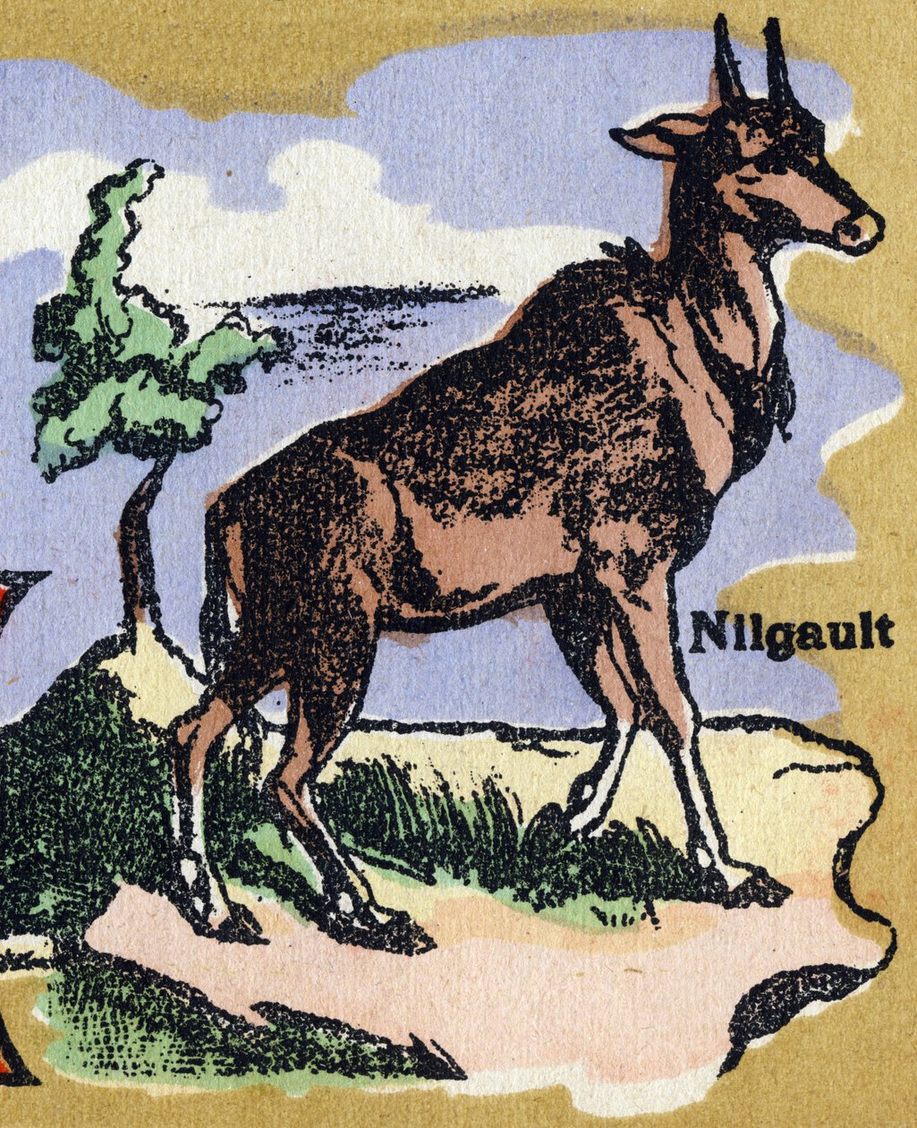 Nilgault. Kuvitettu aakkoset. Kuvat yhdistyivät Jarville-Nancyssa 1900-luvun alussa. Mitat: 40 x 29 cm. Litografia bistre-taustalla tekijältä Unbekannt