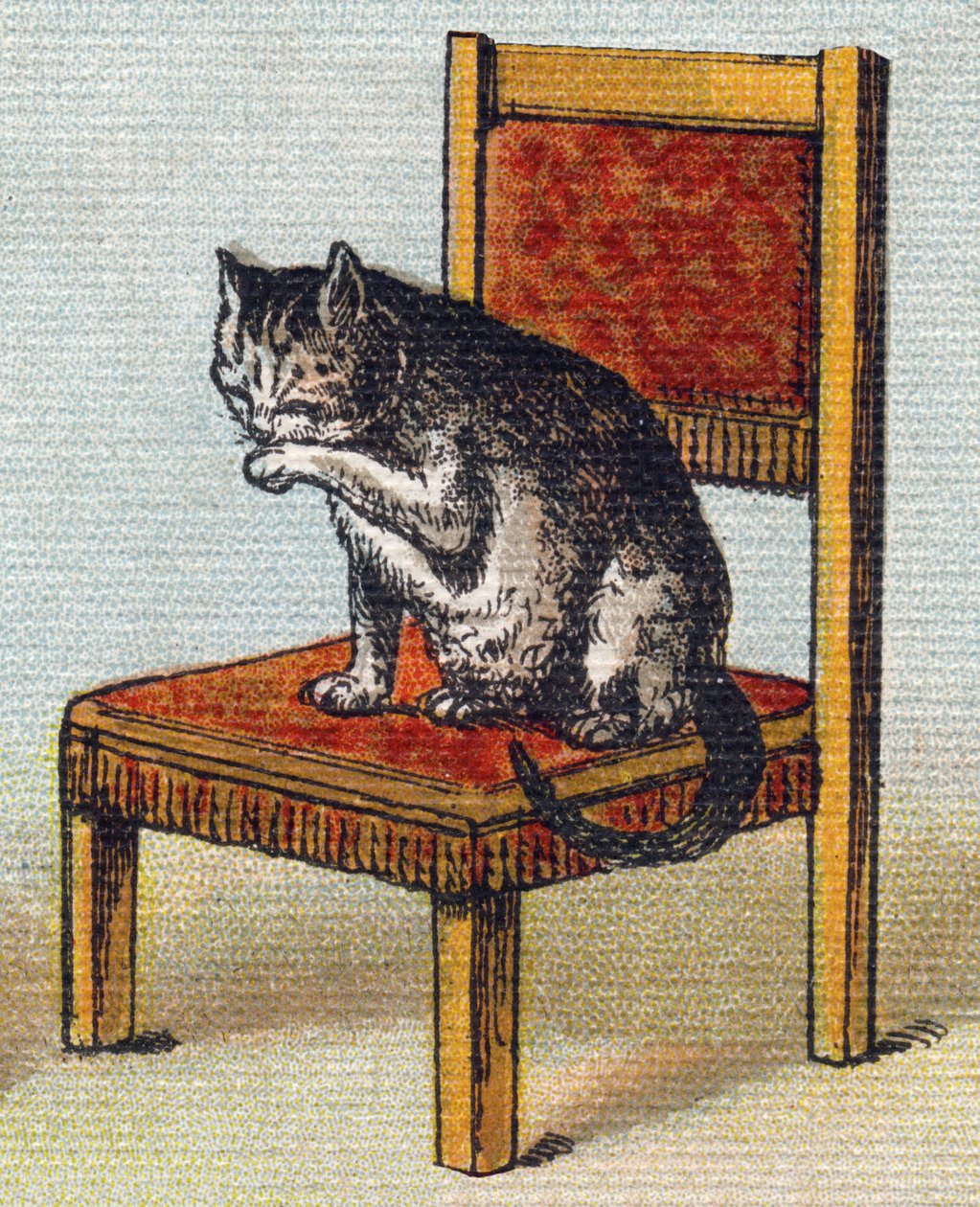 Kissa tuolilla. Kaiverrus "Alphabet de ma petite fille". Bernardin-Bechet ja Fils, kirjakauppias-kustantajat, Pariisi, noin 1895. Rikkoutumaton albumi kankaalle. Bibliotheque des Bebes. 12 sivua. Albumi, joka sisältää lukumenetelmän ja havainnollisen abece tekijältä Unbekannt