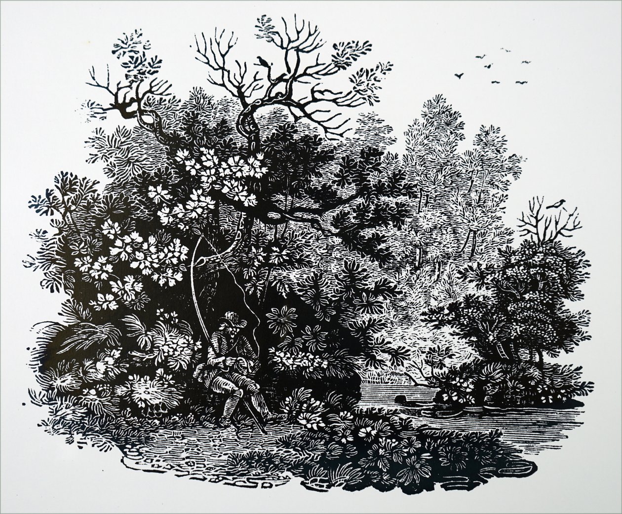 Kalastaja tekijältä Unbekannt